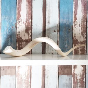 Kudu Horn Inners Bone