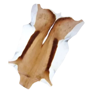 A Grade Springbok Skin