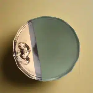 Double Hippo Plate