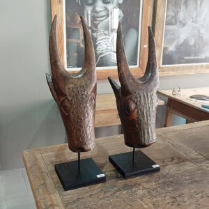 Mask Bull (Cameroon)